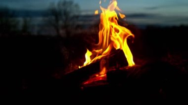 Bir çayıra yerleştirilmiş çok yavaş bir kamp ateşi. Yüksek hızlı sinema kamerası, 1000fps.