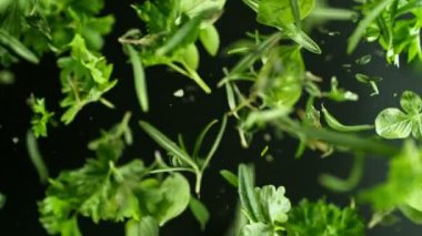 Siyah arka planda dönen taze bitkilerin süper yavaş çekimi. Nihai perspektif ve hareket. Yüksek hızlı sinema kamerası, 1000 fps. Kamera, hedefi takip eden yüksek hızlı sinüs robotuna yerleştirildi..