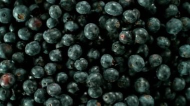 Siyah arka planda dönen yaban mersinlerinin süper yavaş çekimi, üst manzara. Yüksek hızlı sinema kamerası, 1000 fps, yüksek hızlı sinüs botuna yerleştirilmiş..