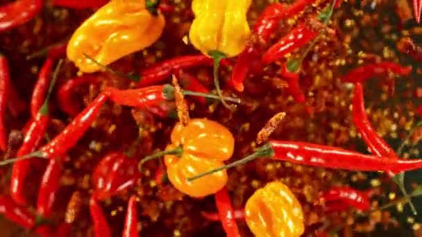 Super Powolny Ruch Latania Obrotowy Mix Papryki Chili Nakręcony Szybkiej — Wideo stockowe