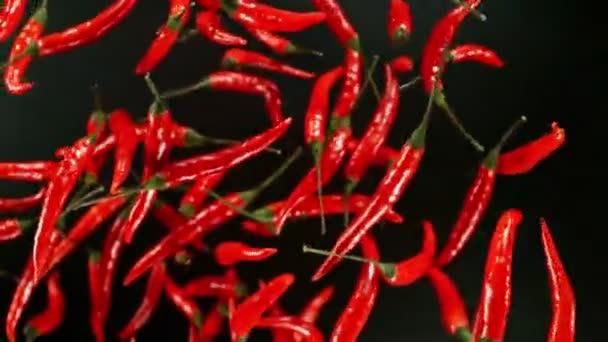 Super Slow Motion Flying Rotating Red Chilli Peppers Filmado Cámara — Vídeos de Stock