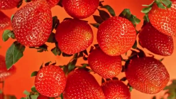 Super Langzame Beweging Van Roterende Aardbeien Rode Achtergrond Bovenaanzicht Gefilmd — Stockvideo
