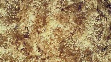 Bej makyaj tozu patlaması çok yavaş ilerliyor. Dönüyor. Yüksek hızlı sinema kamerası, 1000 fps, yüksek hızlı sinüs botuna yerleştirilmiş..