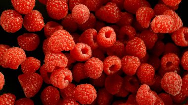 Düşen ahududu, siyah arka planda izole edilmiş. Gerçekçi dondurucu çekim.