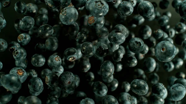 Falling Blueberry Isolated Black Background Realistic Freeze Motion Shot — Stock Photo, Image