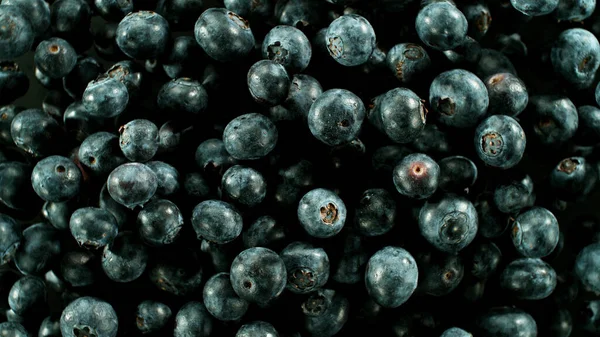 Falling Blueberry Isolated Black Background Realistic Freeze Motion Shot — Stock Photo, Image