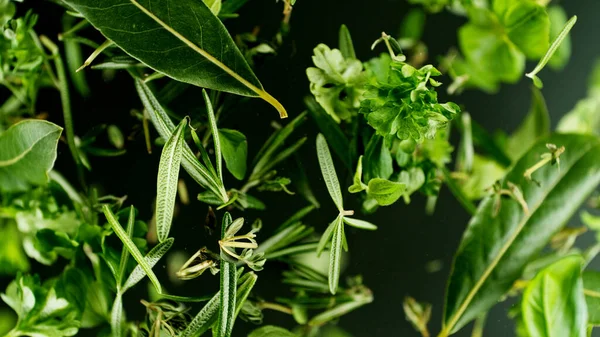 Falling Fresh Herbs Leaves Isolated Black Background Freeze Motion — Stock Photo, Image