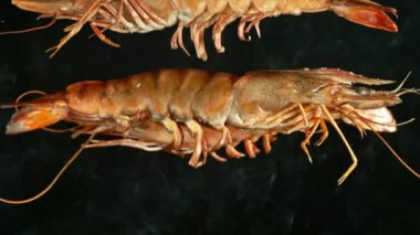 Izgarada Düşen Karideslerin Süper Yavaş Hareketi. Yüksek Hız Sinema Kamerası, 1000 fps, Kamera Yüksek Hız Cine Robotuna yerleştirildi, Hedefi Takip Ediyor.