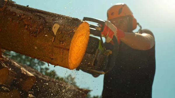 stock image Woodcutter saws tree with chainsaw in detail. Closeup background.