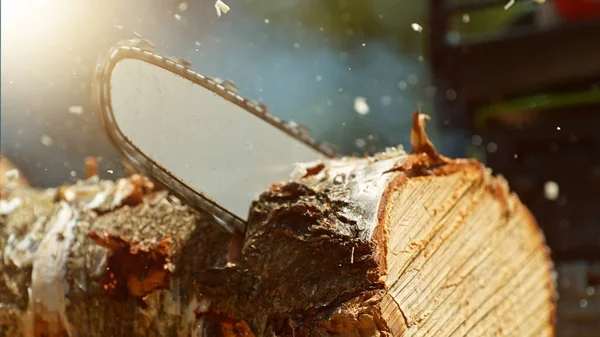 Woodcutter Serra Árvore Com Motosserra Detalhe Fundo Close — Fotografia de Stock