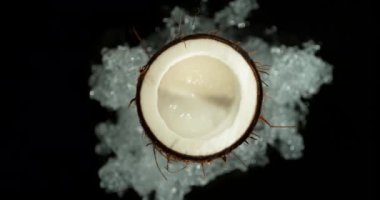 Suya batırılmış hindistan cevizli süper yavaş çekim. Yüksek hızlı sinema kamerası 4K, 1000 fps. Siyah arkaplanda izole.