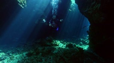 Dalgıç fotoğrafçısıyla sualtı mağarası. Tropik mavi deniz suyu. Tüplü Dalgıç Keşif Mağarası. Ağır çekim. Kızıl Deniz, Mısır. Sualtı Dünya Hayatı. Tropik sualtı deniz manzarası. Resif Mercan Sahnesi.