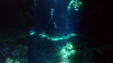 Dalgıçla birlikte sualtı mağarası. Tropik mavi deniz suyu. Tüplü Dalgıç Keşif Mağarası. Ağır çekim. Kızıl Deniz, Mısır. Sualtı Dünya Hayatı. Tropik sualtı deniz manzarası. Resif Mercan Sahnesi.
