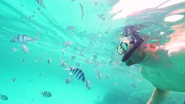 Tropik Balık Okullu Snorkeler. Ağır çekim. Kızıl Deniz, Mısır. Sualtı Dünya Hayatı. Tropik sualtı deniz manzarası.