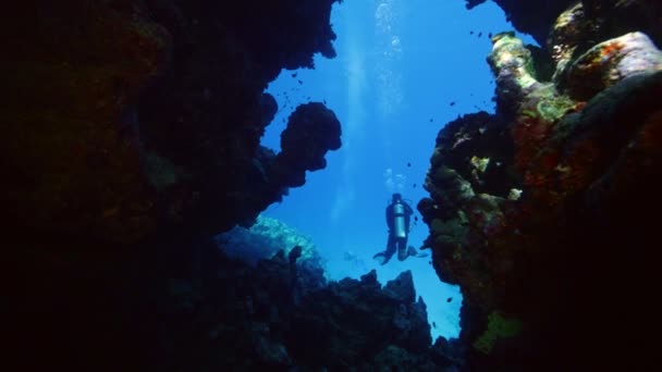 Cueva Submarina Con Buzo Agua Mar Azul Tropical Buceador Explorando — Vídeo de stock
