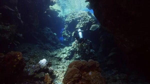 Buzo Explorando Cueva Vida Submarina Con Corales Mar Rojo Egipto — Foto de Stock