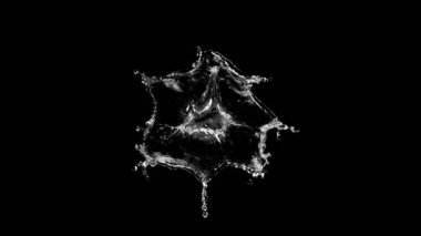 Siyah arka planda izole edilmiş çok yavaş su sıçratma hareketi. Yüksek hızlı sinema kamerası, 1000 fps. Hız rampası etkisi.