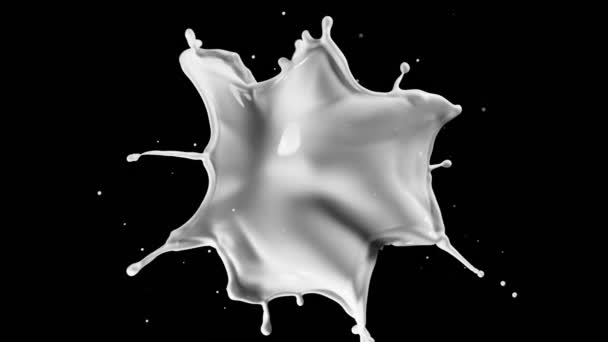 Realistic Super Slow Motion Flying Milk Splash Black Background Filmed — Stock Video