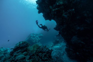 Scuba dalgıcı resifte yüzüyor, Kızıl Deniz, Mısır. Derin denizde genç bir erkek dalgıç.