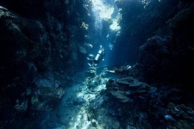 Mısır 'daki mercan resiflerini ve mağaraları keşfeden dalgıç. Tepeden gelen güneş ışınlarıyla dramatik karanlık sahne.