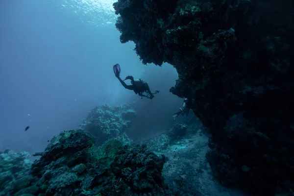 エジプトの紅海のサンゴ礁で泳ぐスキューバダイバー 若いです男性ダイバーで深海 — ストック写真