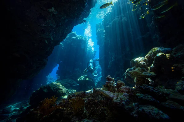 Plongée Explorant Les Récifs Coralliens Grotte Egypte École Colorée Poissons — Photo