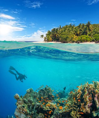 Skuba dalgıcının su altı ve üstü görüntüsü. Su altı faunası ve bitki örtüsü, deniz yaşamı ve arka planda egzotik ada