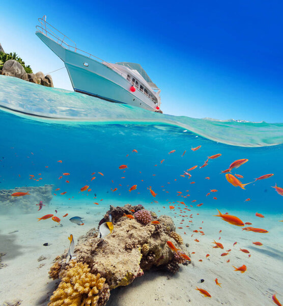 Under and above water surface view of underwater life. Underwater fauna and flora, marine life and exotic island with anchoring yacht on background.