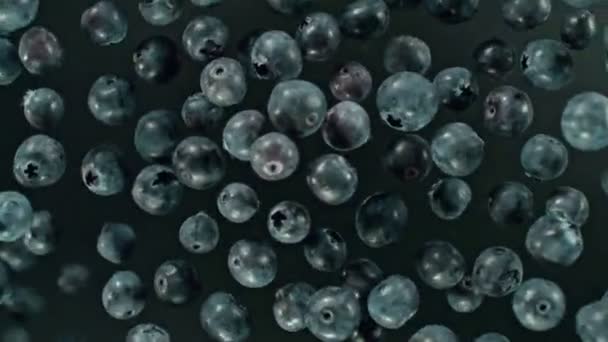 超慢的旋转蓝莓的黑色背景 顶部视图 用高速摄像机拍摄 1000 Fps 装在高速Cine Bot上 速度斜坡效应 — 图库视频影像