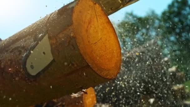 Super Slow Motion Detail Chainsaw Cutting Wooden Log Filmed Very — Stock Video