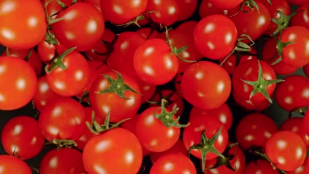 超慢的樱桃西红柿在黑色背景上飞舞 用高速摄像机拍摄 每秒1000帧 摄像头安装在高速Cine Bot上 跟踪目标 — 图库视频影像
