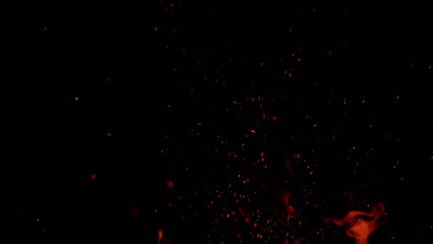 Super Zeitlupe Des Feuers Mit Funken Isoliert Auf Schwarzem Hintergrund — Stockvideo