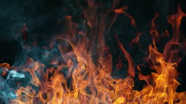 Super Slow Motion Fire Isolated Black Fone Аннотация Flames Background — стоковое видео