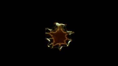 Siyah arka planda çok yavaş sıçrayan yağ. Yüksek hızlı sinema kamerası, 1000fps.