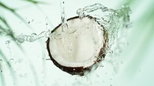 Супер Медленное Движение Кокосового Ореха Выплеском Воды Снято High Speed — стоковое видео