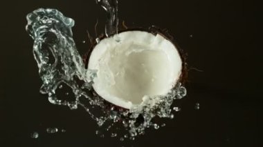 Su Sıçratmalı Süper Yavaş Hindistan Cevizi Hareketi. High Speed Cinema Camera 'da çekildi, 1000 fps. Kara Arkaplan 'da izole edilmiş. Hız Rampası Efekti.