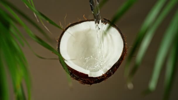 Super Zeitlupe Der Kokosnuss Mit Wasserspritzer Gefilmt Mit Einer High — Stockvideo