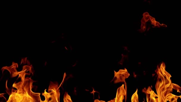 การเคล อนไหวช ดยอดของไฟแยกจากพ นหล นหล งเปลวไฟนามธรรม ายท วยกล องความเร 1000 — วีดีโอสต็อก