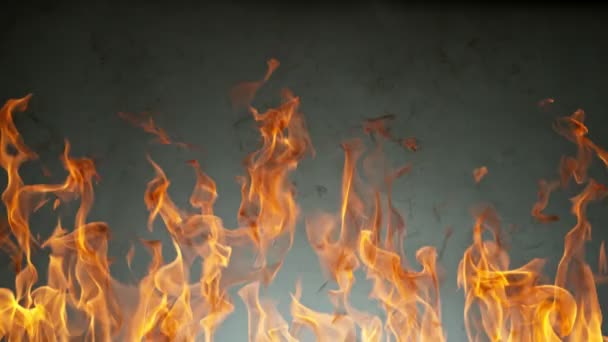 Szuper Lassú Tűz Mozgása Vonal Elszigetelt Szürke Háttér Nagysebességű Mozi — Stock videók