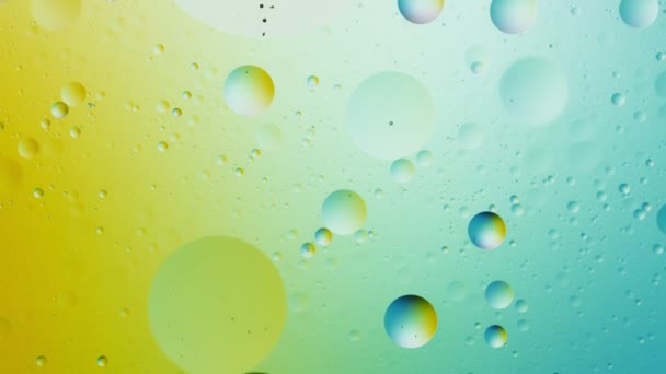 Медленное Движение Текущих Нефтяных Пузырей Воде Абстрактный Цветной Фон Съемки — стоковое видео