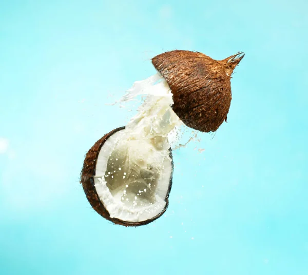 Sprucken Kokos Med Mjölk Stänk Flyger Luften Isolerad Blå Bakgrund — Stockfoto