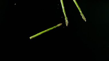 Suya Düşen Kuşkonmaz Süper Yavaş Hareketi. Kara Arkaplan 'da izole edilmiş. Yüksek Hız Sinema Kamerası, 1000 fp..