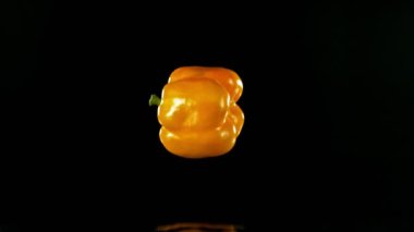 Kara Arkaplanda Suya Düşen Tüm Sarı Biber Süper Yavaş Hareketi. Yüksek Hız Sinema Kamerası, 1000 fp..