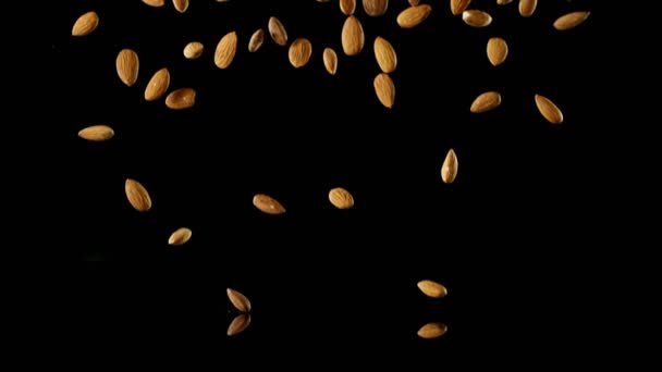 Szuper Lassú Mozgása Falling Almond Nuts Reflexióval Elszigetelve Fekete Háttér — Stock videók