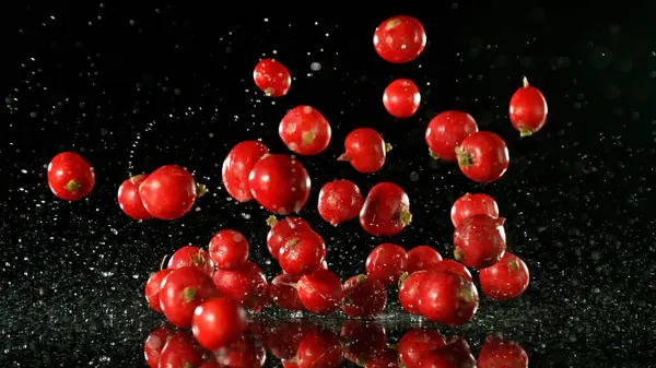Fresh Red Radish Falling Black Background Splashing Water — Stock Photo, Image