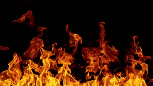 Super Slow Motion Fire Isolated Black Background Abstract Flames Background — Stock Video