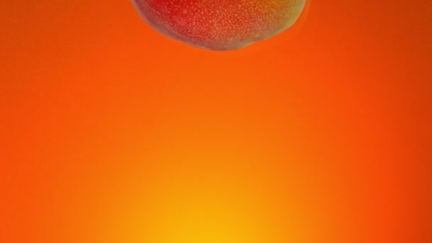Super Slow Motion Fallande Mango Frukt Spraya Vatten Färgad Bakgrund — Stockvideo