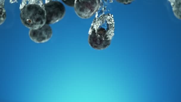 Super Slow Motion Falling Blueberries Water Blue Background Filmed High — Stockvideo