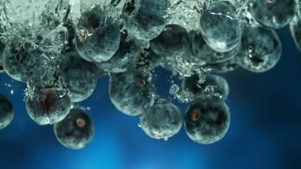 Super Slow Motion Falling Blueberries Water Blue Background Filmed High — Αρχείο Βίντεο
