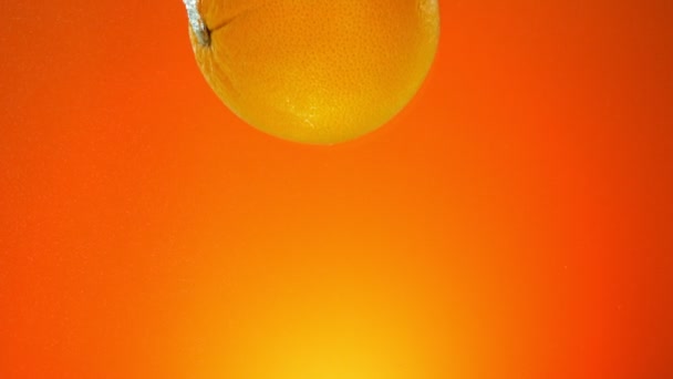 Σούπερ Αργή Κίνηση Της Πτώσης Ολόκληρο Πορτοκαλί Υποβρύχια Πορτοκαλί Φόντο — Αρχείο Βίντεο
